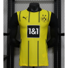 Dortmund 2024/25 Home Replica Custom Jerseys - Yellow