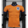 Netherland 2024/25 Home Replica Custom Jersey Football Jerseys- Orange