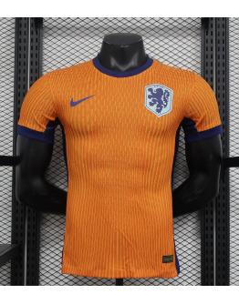 Netherland 2024/25 Home Replica Custom Jersey Football Jerseys- Orange