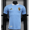 Belgium 2024/25 Away Replica Custom Jersey  for Soccer Fan- Blue
