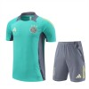 Ajax Adult Short Sleeve Training Suit Light Green for Soccer Fan