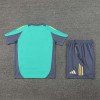 Ajax Adult Short Sleeve Training Suit Light Green for Soccer Fan