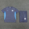Manchester City  Adult Short Sleeve Training Suit Light Football Shirt Grey