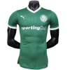 Palmeiras 2025/26 Home Replica Custom Jersey Customize Soccer Jerseys- Green