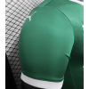 Palmeiras 2025/26 Home Replica Custom Jersey Customize Soccer Jerseys- Green