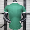 Palmeiras 2025/26 Home Replica Custom Jersey Customize Soccer Jerseys- Green