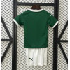Palmeiras FC 2024/25 Home Kids Apparel Replica Custom Jerseys Youth uniforms - Green