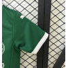 Palmeiras FC 2024/25 Home Kids Apparel Replica Custom Jerseys Youth uniforms - Green