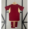 Venezuela 2024/25 Home Kids Apparel Replica Custom Jerseys Youth uniforms - Red