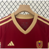 Venezuela 2024/25 Home Kids Apparel Replica Custom Jerseys Youth uniforms - Red