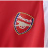 Arsenal FC 02/03 Adult Short Sleeve Retro Jerseys-Red