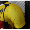 Ibrahimović Special Football Team 2025/26 Custom Jerseys - Color