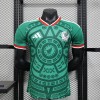 Camisetas réplica de México para el Mundial 2026/27, camisetas personalizadas, uniformes de fútbol para niños, camisetas de fútbol. Camisetas réplica de México para el Mundial 2026/27, camisetas personalizadas, uniformes de fútbol para niños, camisetas de fútbol.