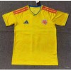 Colombia 2026/27 World Cup Kids Soccer Uniforms Replica Custom Jersey FIFA Jerseys