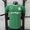 Palmeiras 2026/27 Replica Soccer Jersey Custom Jersey Brasileirao Jerseys Palmeiras 2026/27 Replica Soccer Jersey Custom Jersey Brasileirao Jerseys
