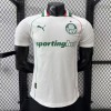 Palmeiras 2026/27 Replica Soccer Jersey Custom Jersey Brasileirao Jerseys Palmeiras 2026/27 Replica Soccer Jersey Custom Jersey Brasileirao Jerseys