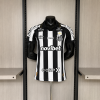 Santos 2026/27 Replica Soccer Jersey Custom Jersey Brasileirao Jerseys Santos 2026/27 Replica Soccer Jersey Custom Jersey Brasileirao Jerseys