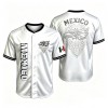 Unique Design Baseball Jerseys Mexican Aztec Culture Softball Jerseys